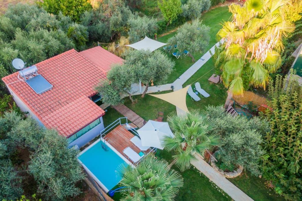 House 1 Villa
